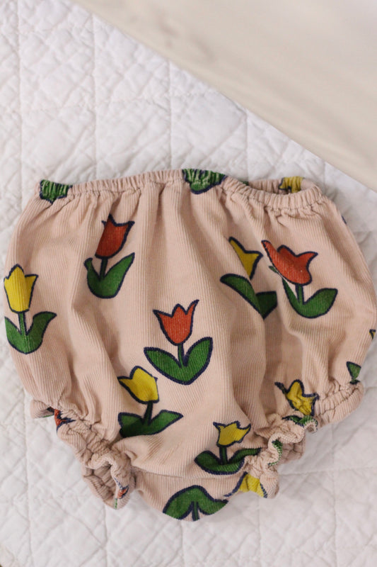 Bloomer Tulipes