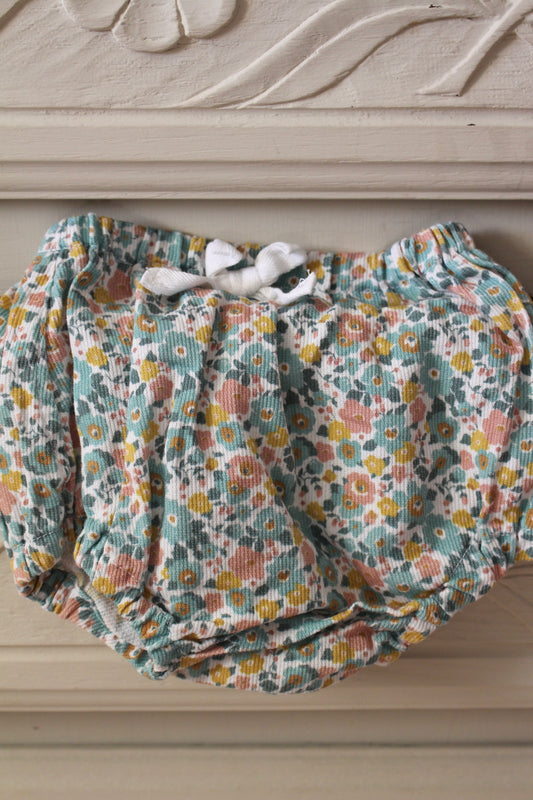 Bloomer Anémone