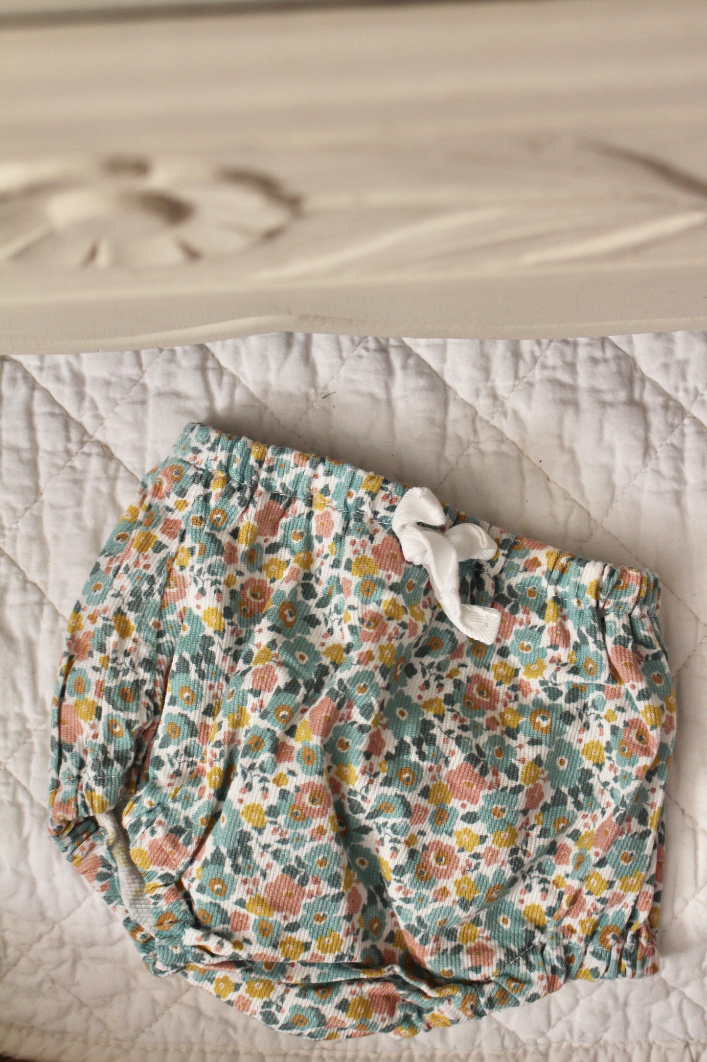 Bloomer Anémone