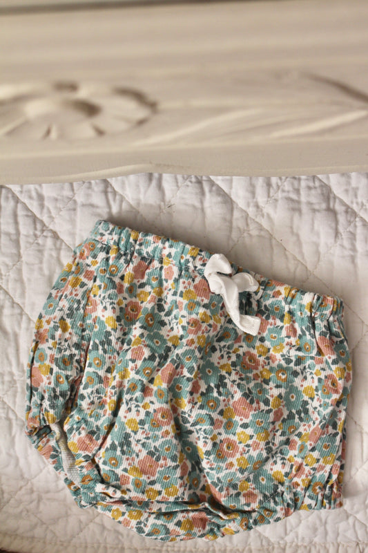 Bloomer Anémone